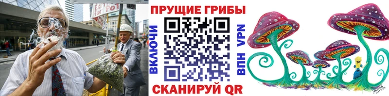 Купить где  Губкинский  Галлюциногенные грибы прущие грибы 